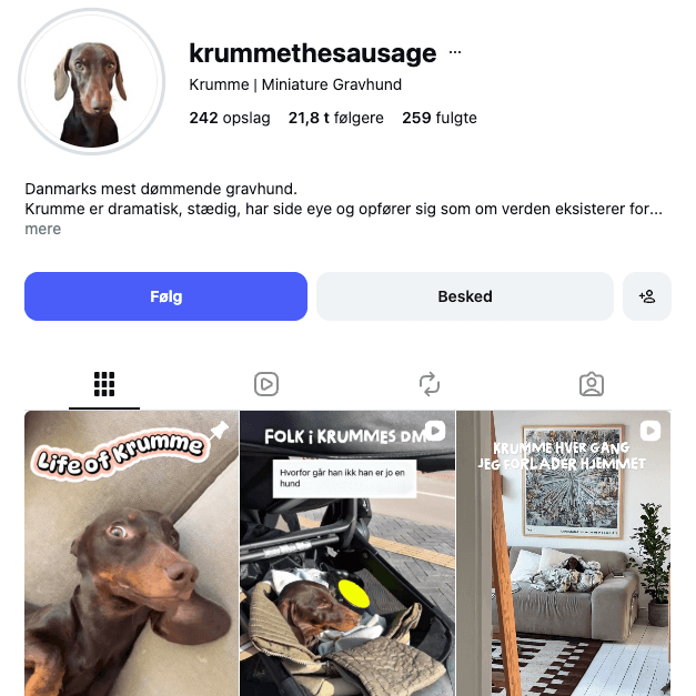 @krummethesausage Krumme på Instagram 1-1