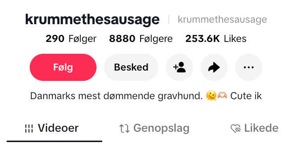 @krummethesausage TikTok Bio